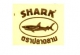 Shark(ฉลาม)
