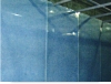 915.jpg